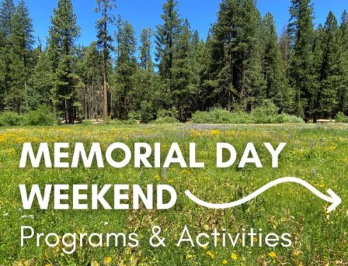 Memorial Day 2026: Weekend Activities