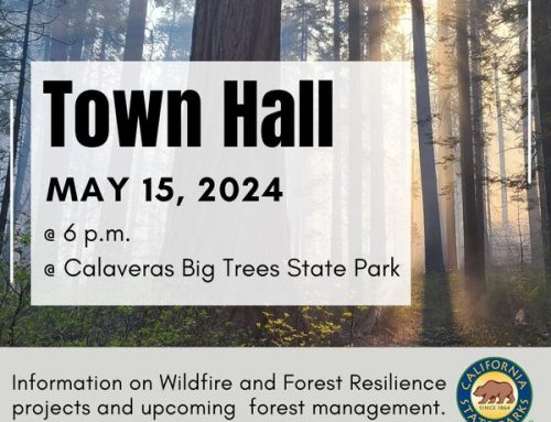 Town Hall – Forest Resilience at Calaveras Big Trees