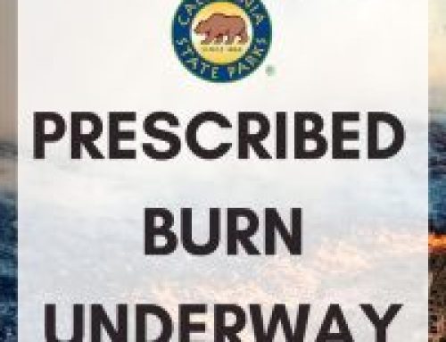 Prescribed Burn Starts October 29th