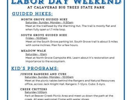 Labor Day Weekend Programs