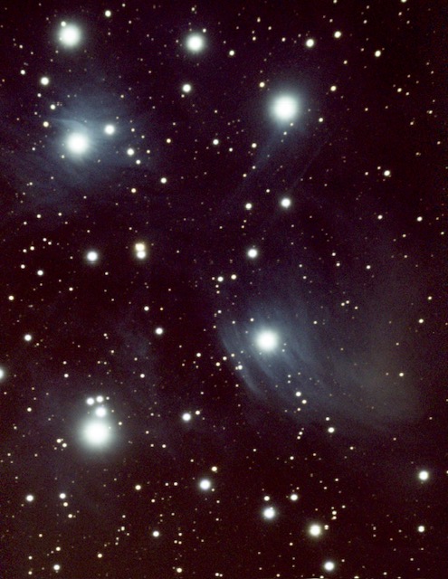 Pleiades Star Cluster at Calaveras Big Trees State Park