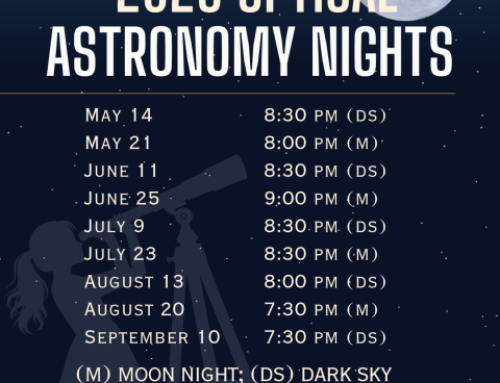 Astronomy Nights at Big Trees