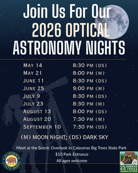 Astrnomy Nights at Big Trees